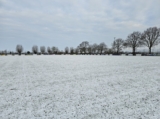 Sneeuwlaag bedekt sportpark 'Het Springer' (29/37)